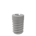 CL-H1-600-100  (Ø6.0*L10.0) 